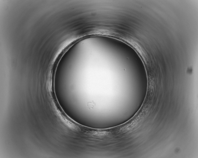 X0000099431131200805161104