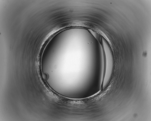X0000099431133200805161104