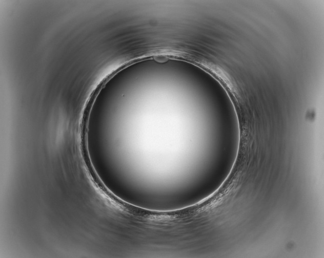 X0000099431135200805161104