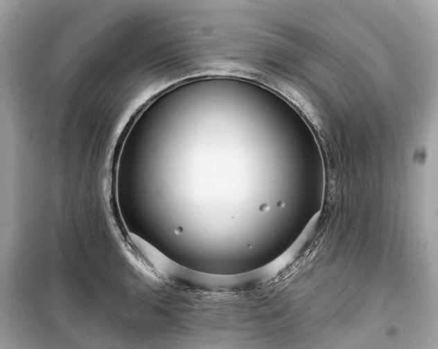 X0000099431136200805161104