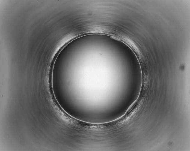 X0000099431138200805161104