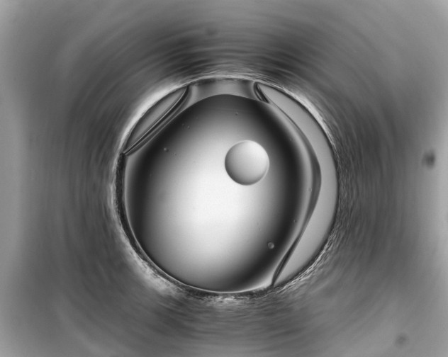 X0000099431139200805161104