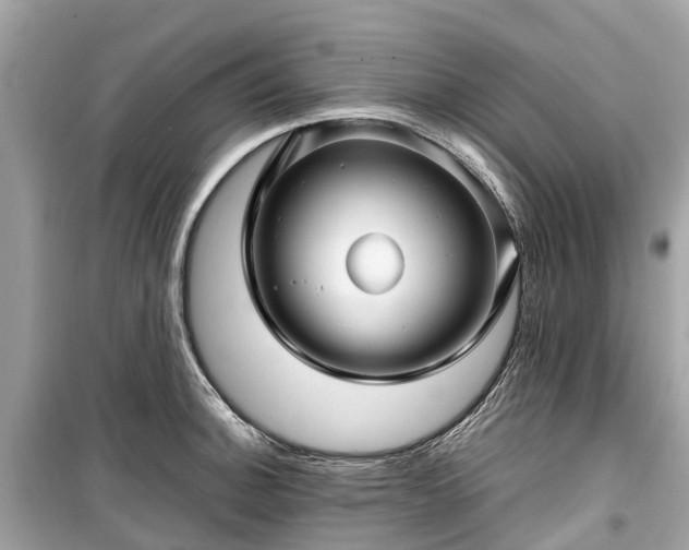 X0000099431140200805161104