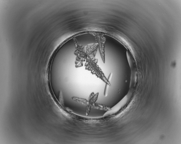 X0000099431141200805161104