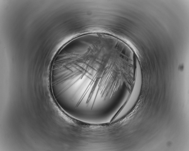 X0000099431142200805161104