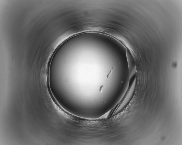 X0000099431143200805161104