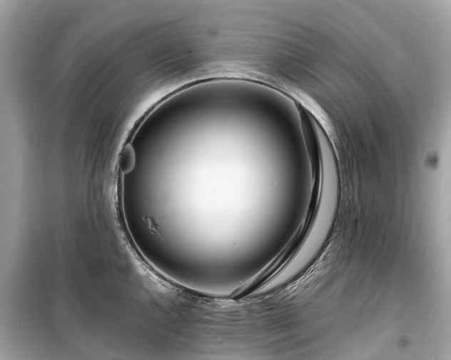 X0000099431144200805161104