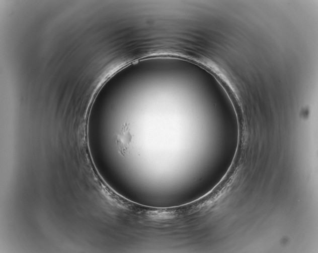 X0000099431145200805161104