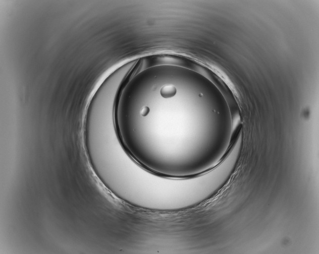 X0000099431148200805161104