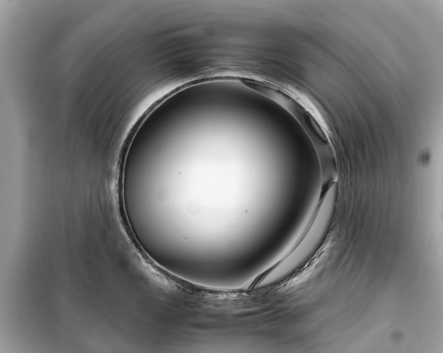 X0000099431149200805161104