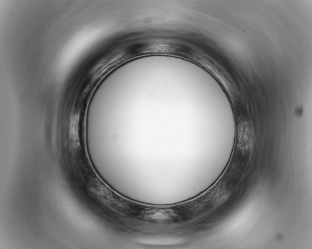 X0000099431150200805161104