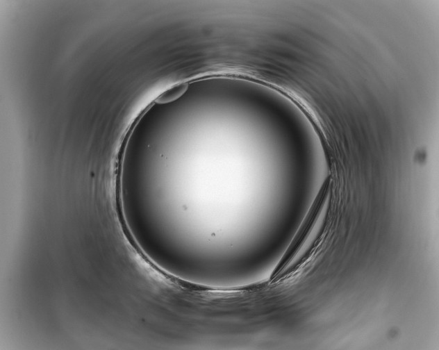 X0000099431151200805161104
