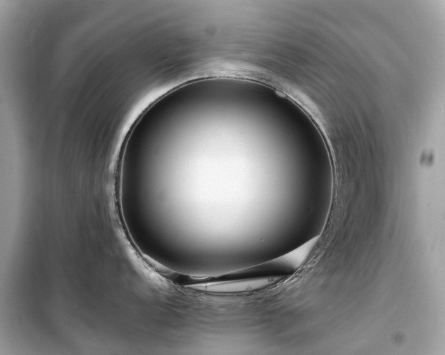X0000099431152200805161104