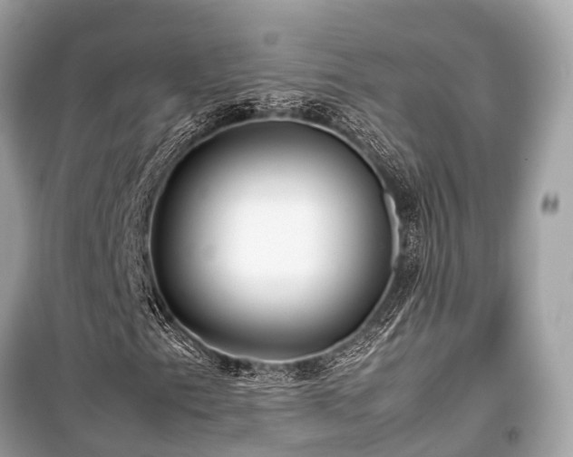 X0000099431153200805161104