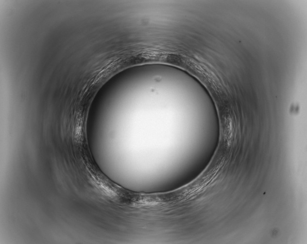 X0000099431154200805161104