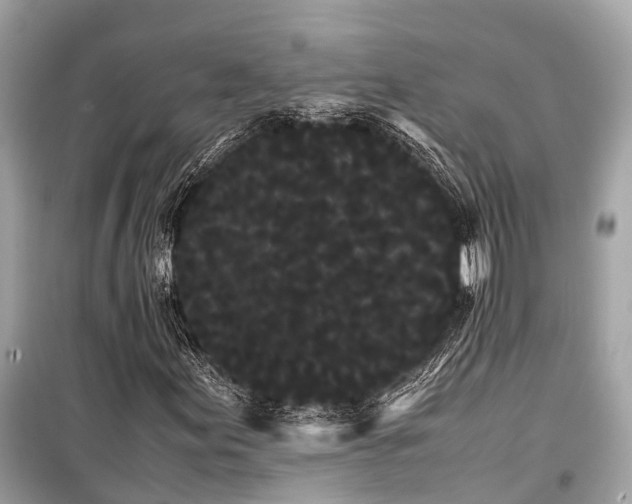X0000099431155200805161104