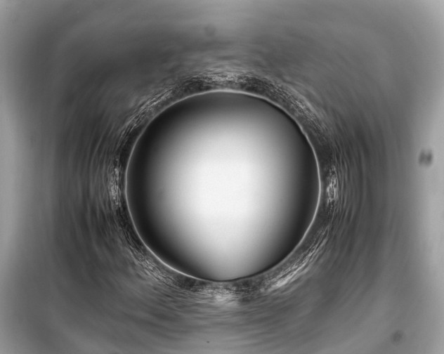X0000099431156200805161104
