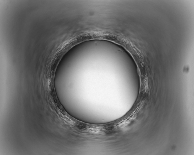 X0000099431157200805161103
