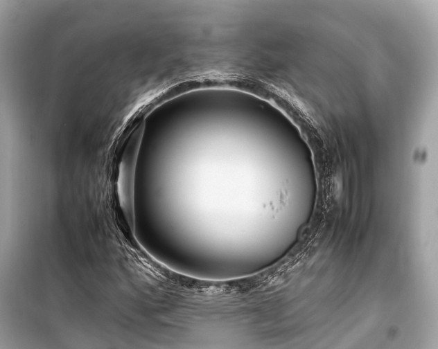 X0000099431160200805161103