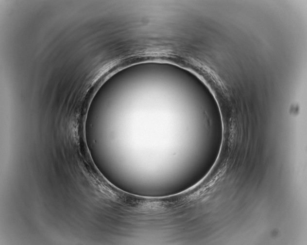 X0000099431162200805161103