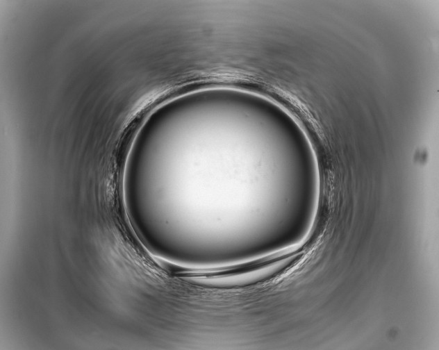 X0000099431163200805161103