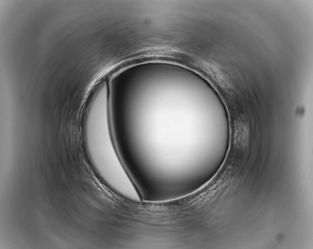 X0000099431164200805161103