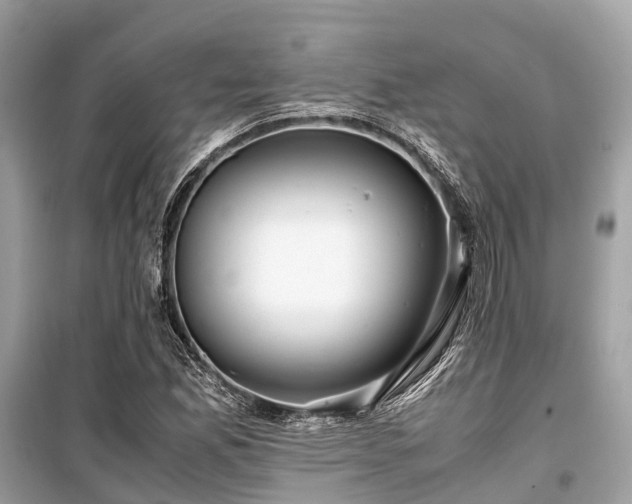 X0000099431165200805161103