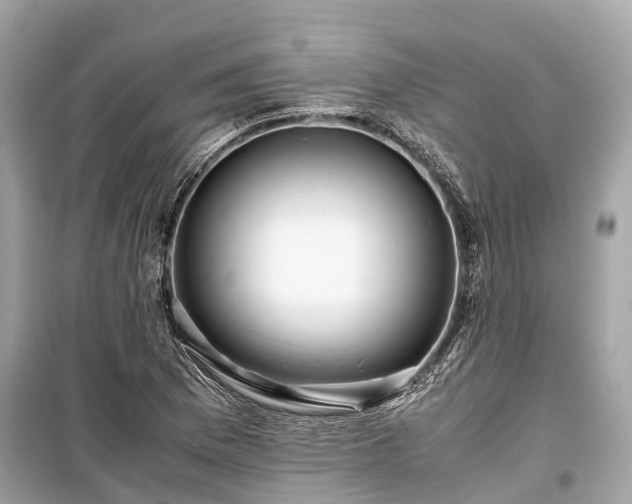 X0000099431169200805161103