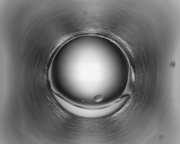 X0000099431170200805161103