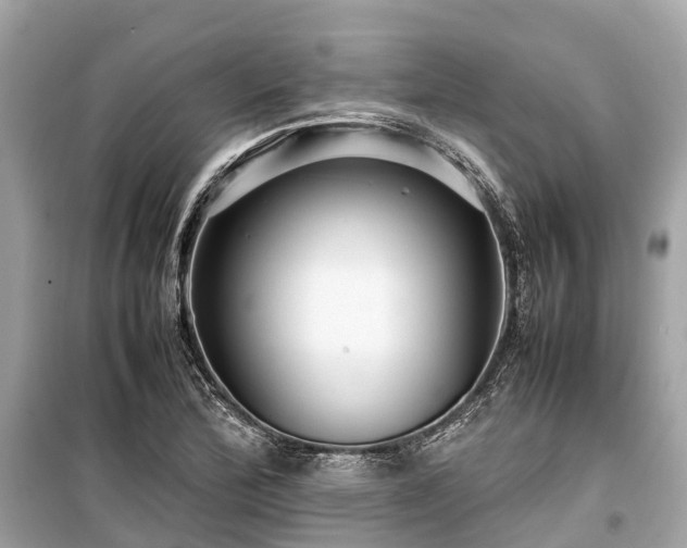 X0000099431172200805161103