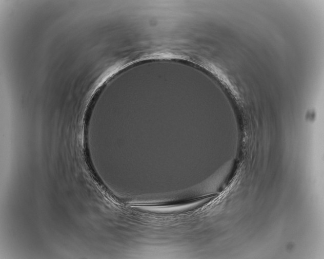 X0000099431173200805161103
