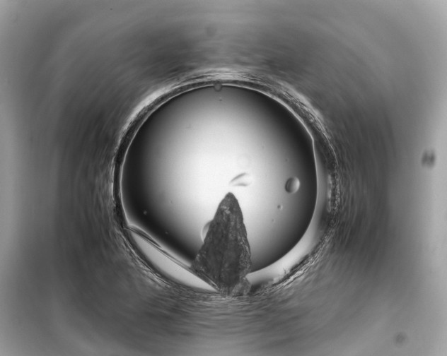 X0000099431174200805161103