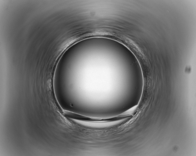 X0000099431177200805161103