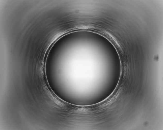 X0000099431178200805161103
