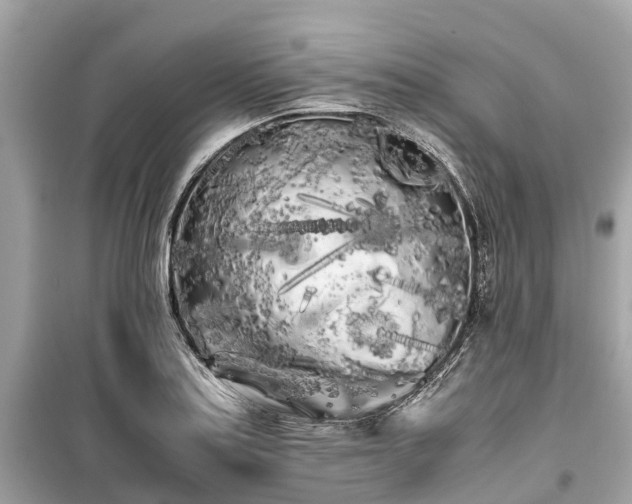 X0000099431179200805161103