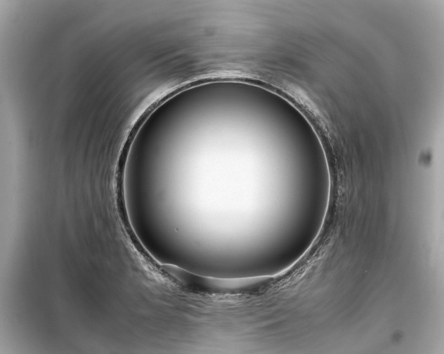 X0000099431181200805161103