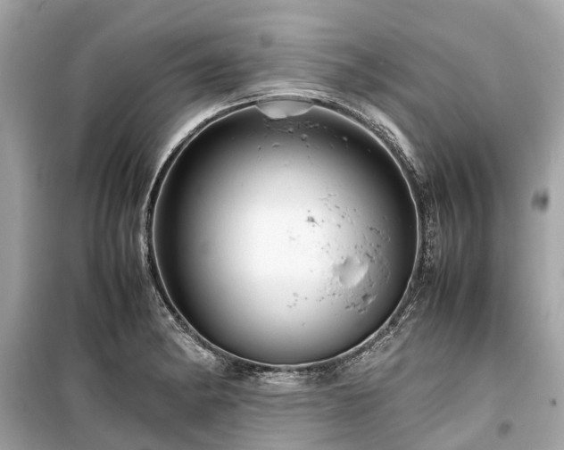 X0000099431182200805161103