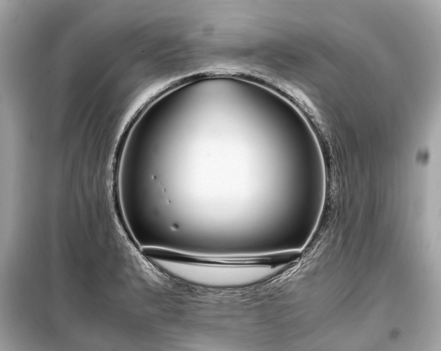 X0000099431183200805161103