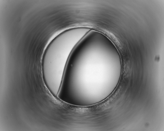 X0000099431184200805161103