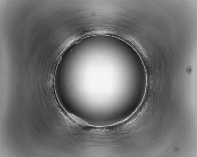 X0000099431185200805161103