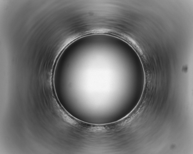 X0000099431186200805161103