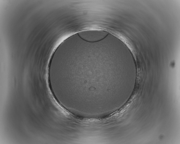 X0000099431187200805161103