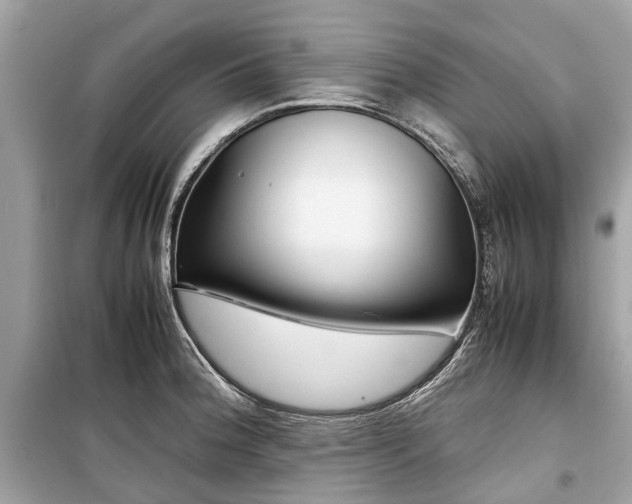 X0000099431188200805161103