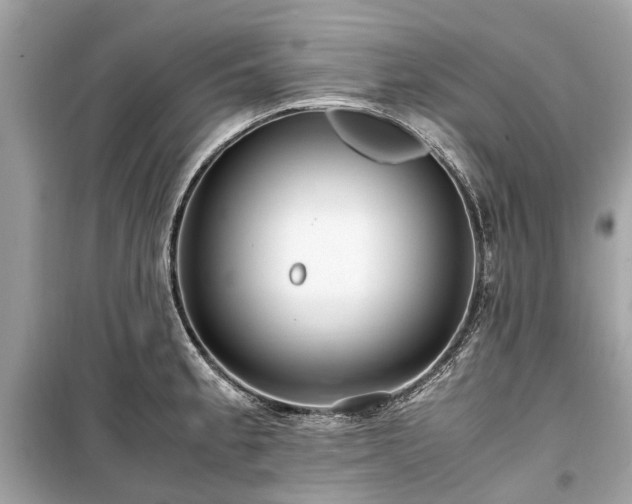 X0000099431189200805161103