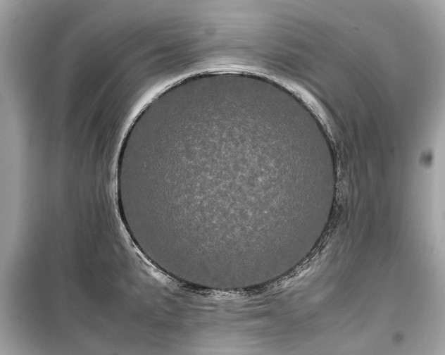 X0000099431191200805161103