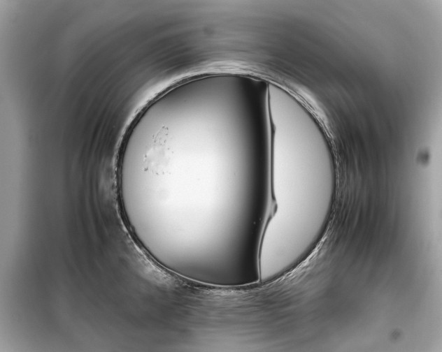 X0000099431192200805161103