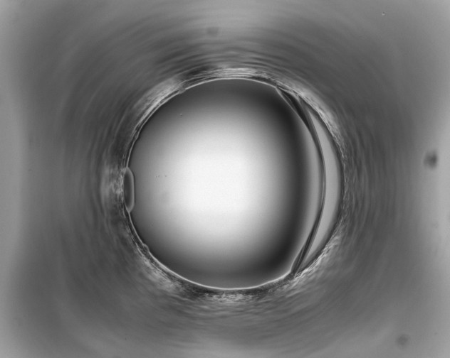X0000099431193200805161103