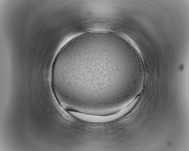 X0000099431195200805161103