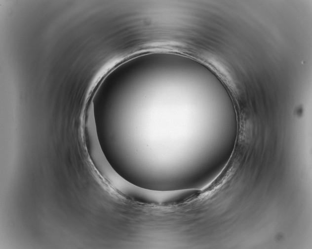 X0000099431196200805161103