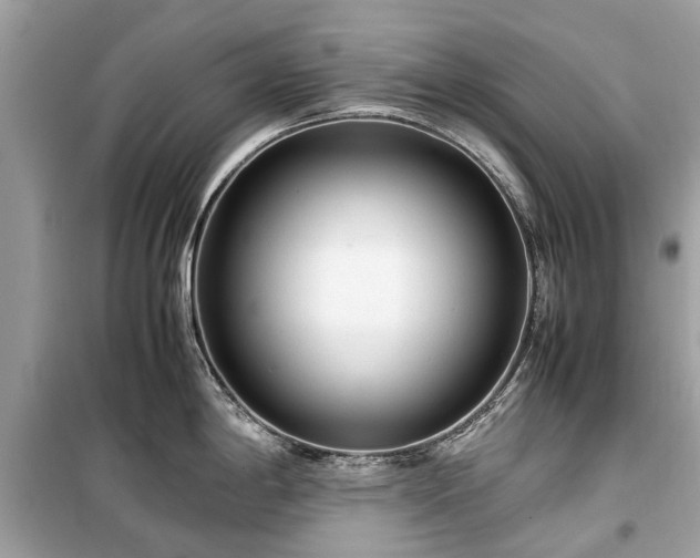 X0000099431198200805161103